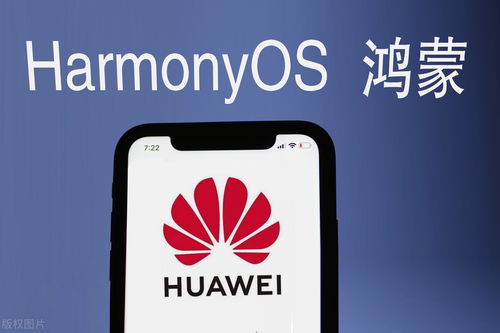 鴻蒙生態崛起，誰是真龍頭？——潤和、常山、誠邁、拓維深度解析