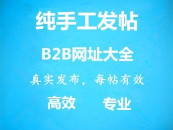 智能代發(fā)品牌宣傳廣告服務(wù) 天津網(wǎng)站建設(shè)與網(wǎng)絡(luò)信息技術(shù)推廣新篇章